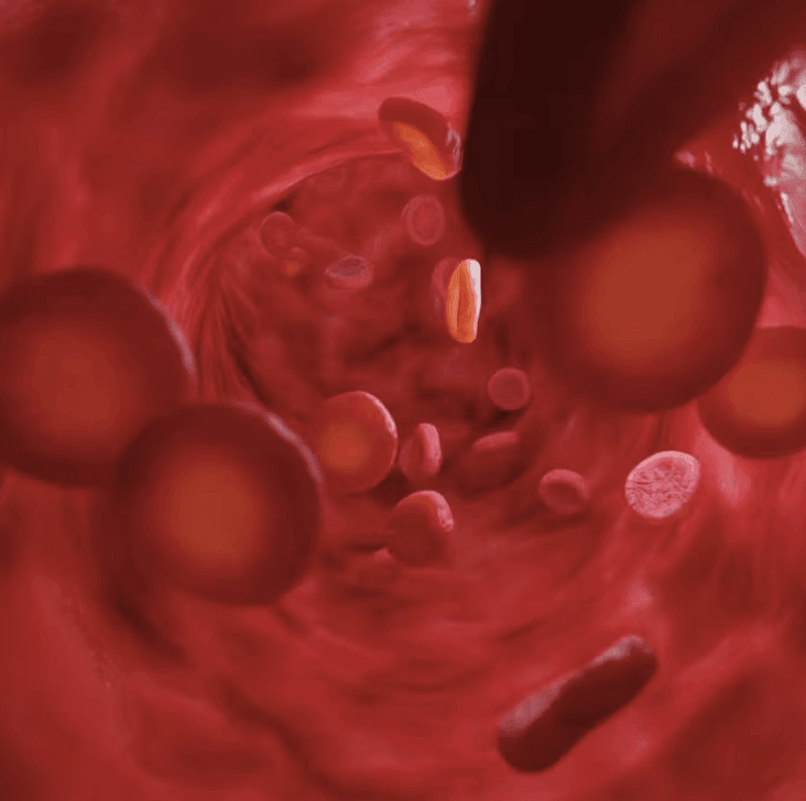 Screenshot20250421at6-1745914228123 - Stamox.com