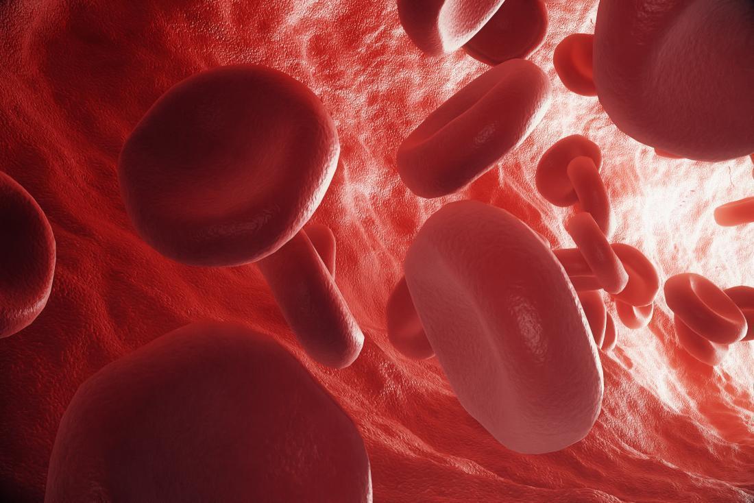 Red blood cells flowing in vessel, stamox beetroot powder supports healthy circulation