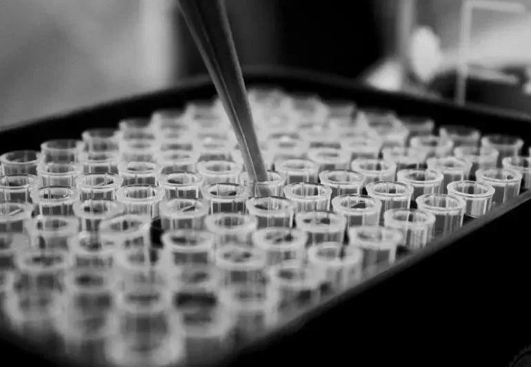 Black and white close-up of a lab technician using a pipette in a multi-well plate for research.