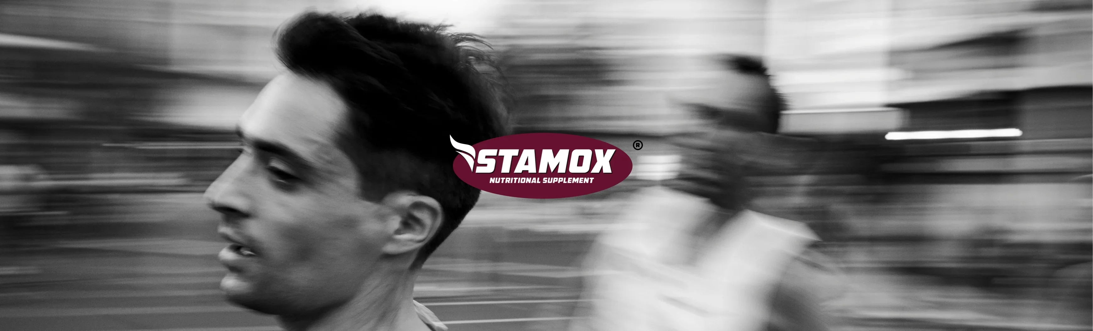 stamox-banner.jpg