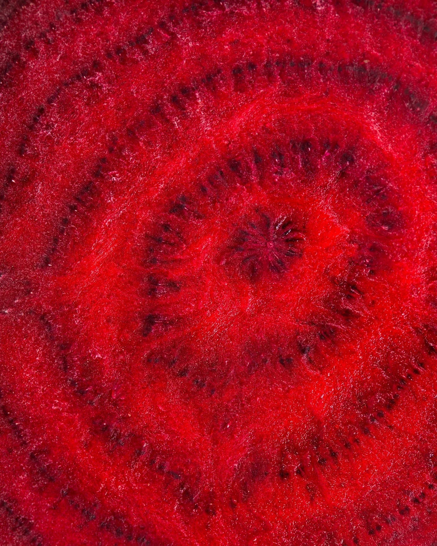 5 Top Reasons to Choose Stamox Beetroot Powder for Better Health