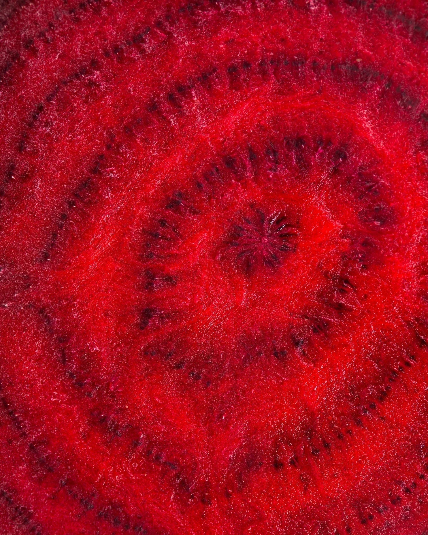 5 Top Reasons to Choose Stamox Beetroot Powder for Better Health