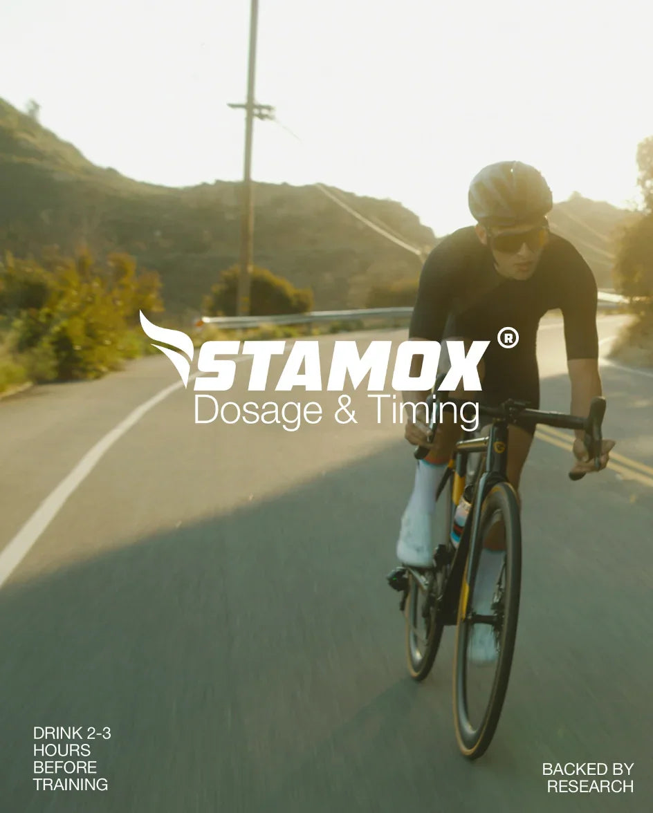 5 Expert Tips for Optimal Stamox Beetroot Powder Timing and Dosage