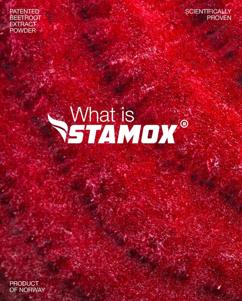 3 Ways Stamox Beetroot Powder Can Boost Your Performance