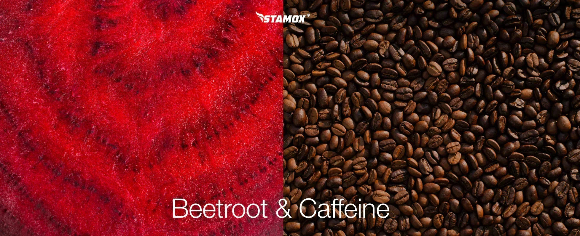 Stamox Beetroot Powder vs. Coffee: Which Fuels Your Performance Better?