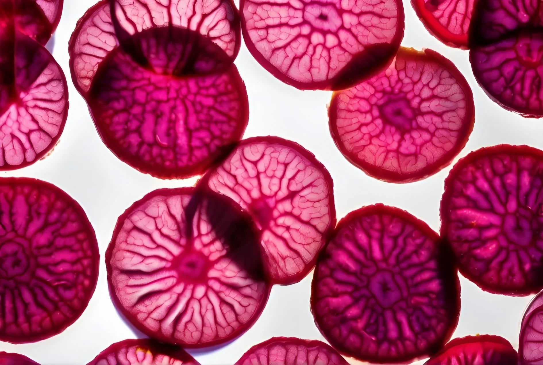 The Science of Beetroot Juice and Performance