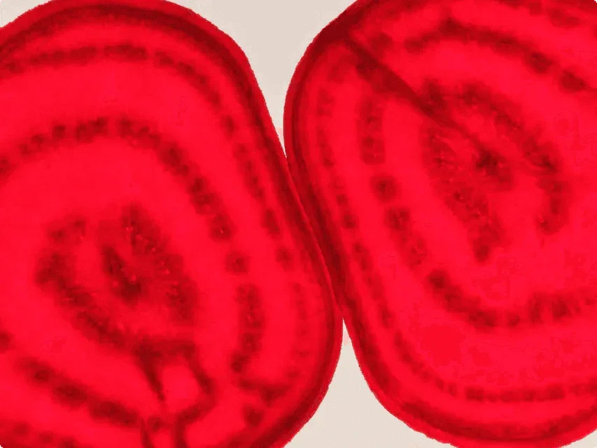 Daily Beetroot Powder Dosage for Health Benefits