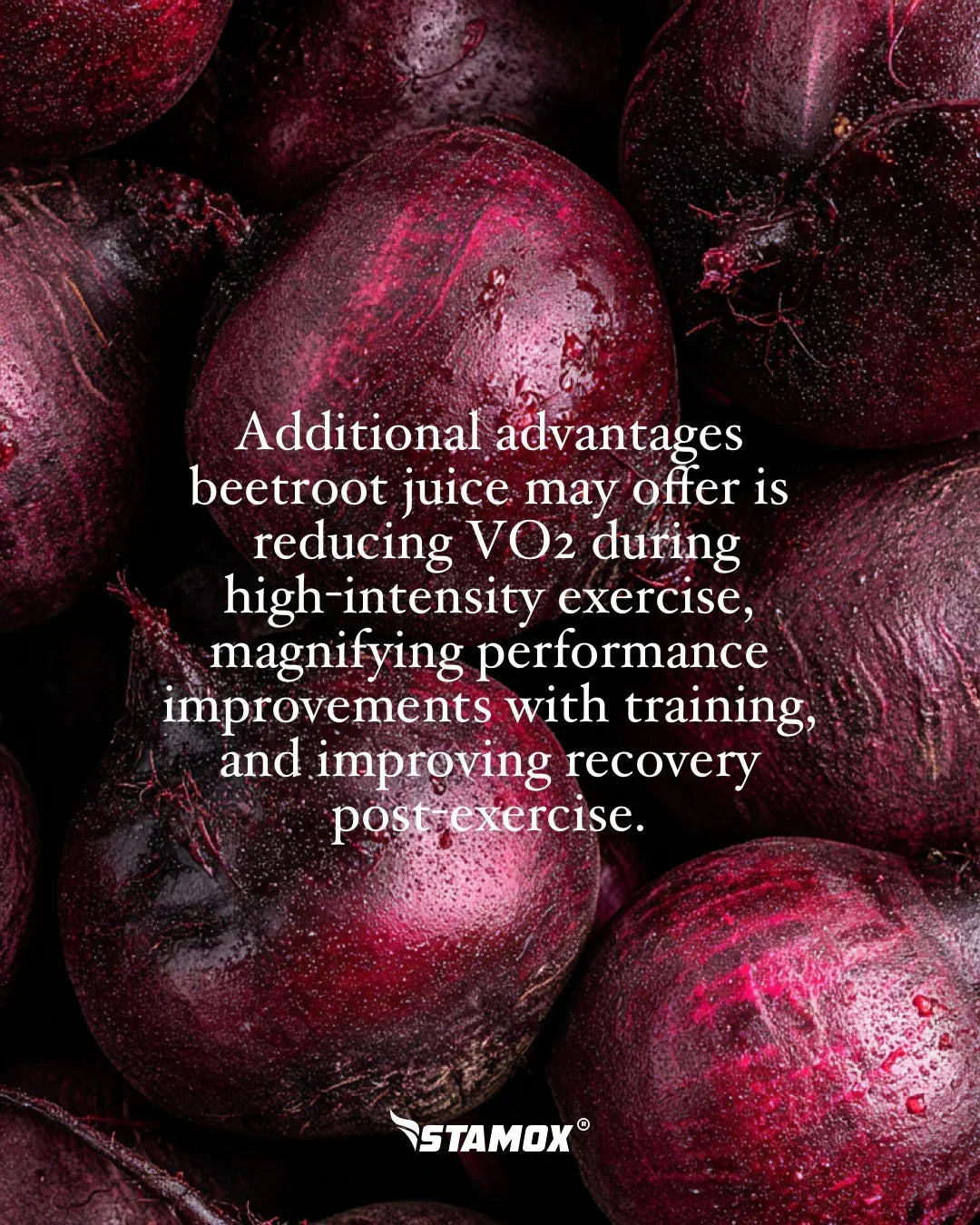Whole beetroots with text overlay about stamox beetroot powder benefits for exercise and recovery