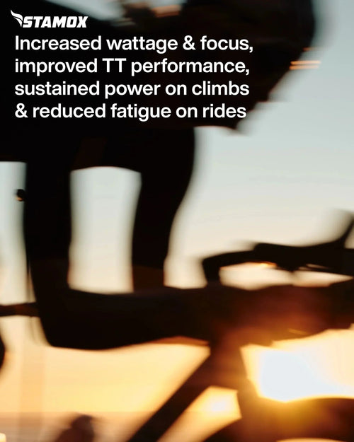Cyclist silhouette at sunset with Stamox Beetroot Powder benefits text overlay for endurance