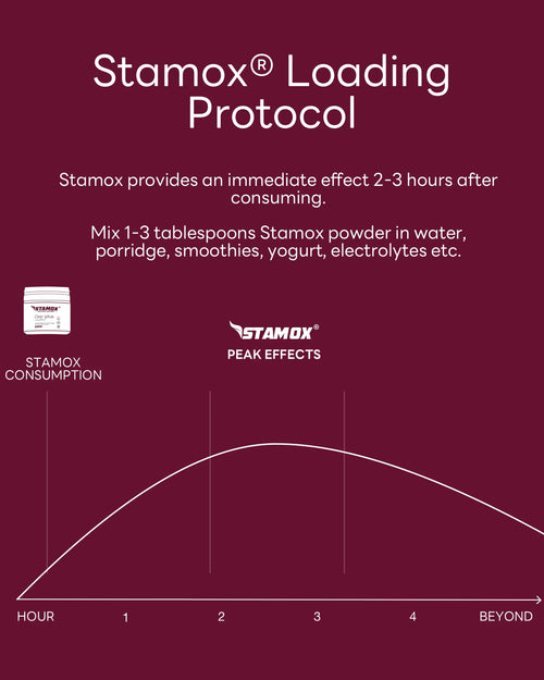 Stamox beetroot powder loading protocol chart showing peak endurance effects in 2-3 hours
