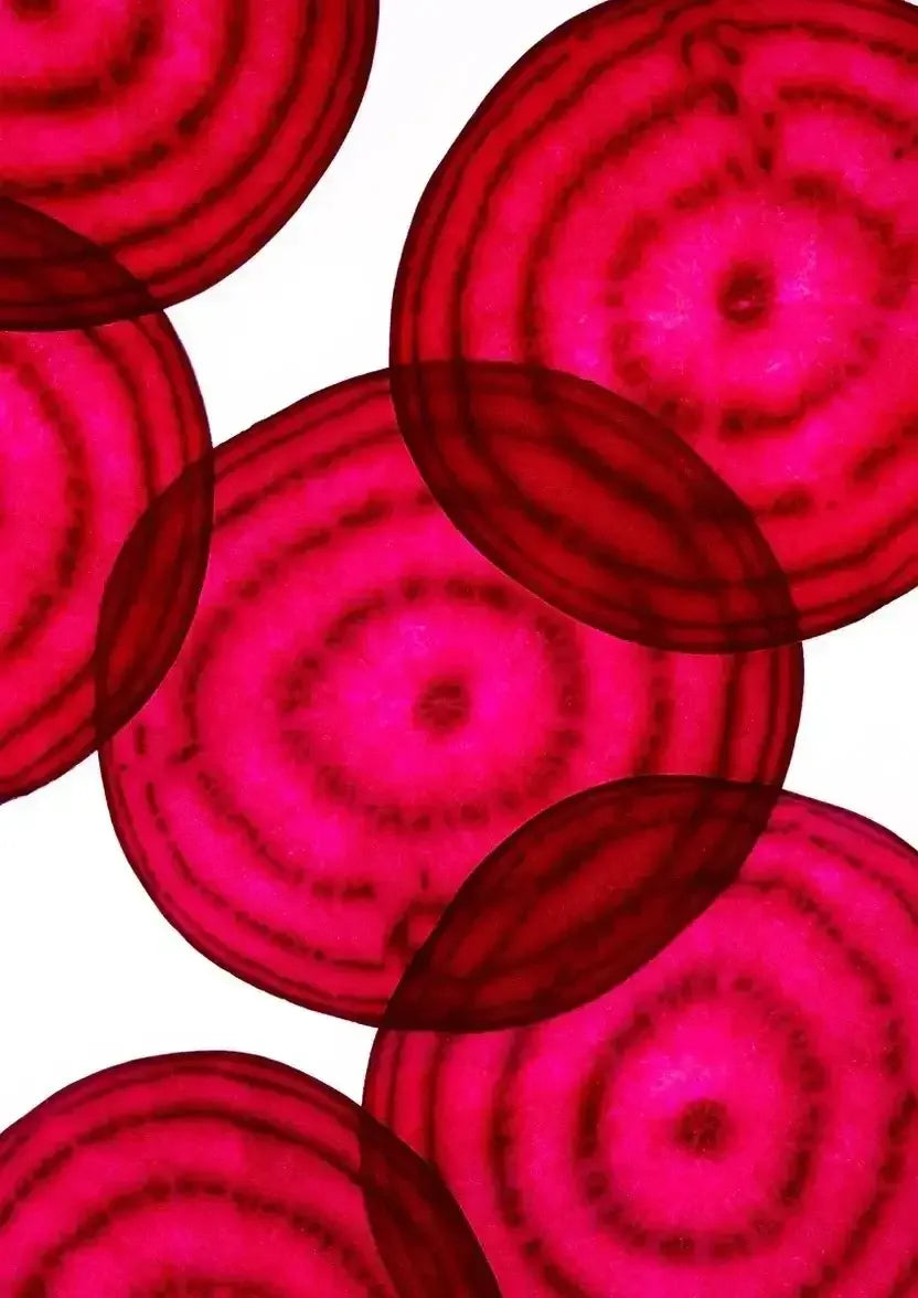 Vibrant sliced beetroot rounds showcasing natural red rings for endurance and recovery support