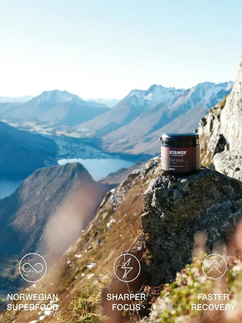 Stamox beetroot powder container on a mountain rock, scenic view, Norwegian superfood
