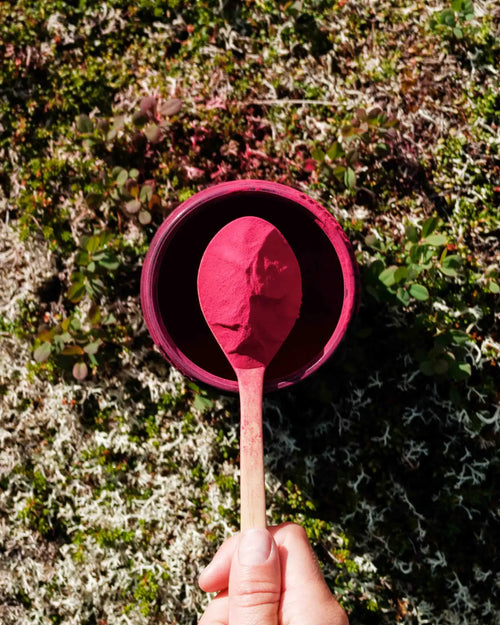 Stamox Oxy-Plus — Beetroot Powder Formulated in Norway
