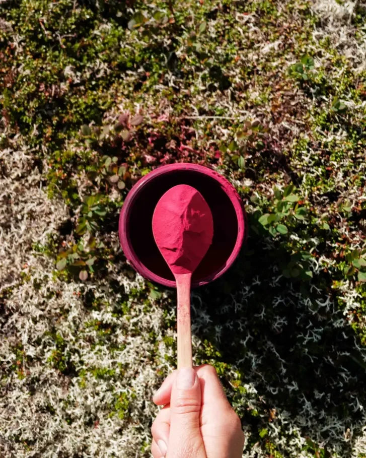 Vibrant beetroot powder on wooden spoon over mossy ground, natural endurance booster