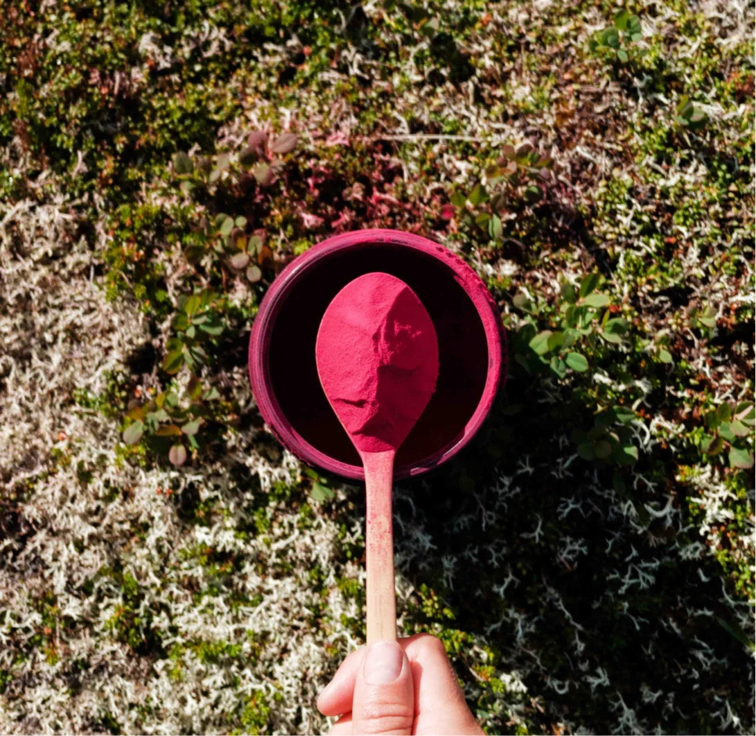 Stamox beetroot sport nutrition powder for VO2 max on a wooden spoon over natural moss.