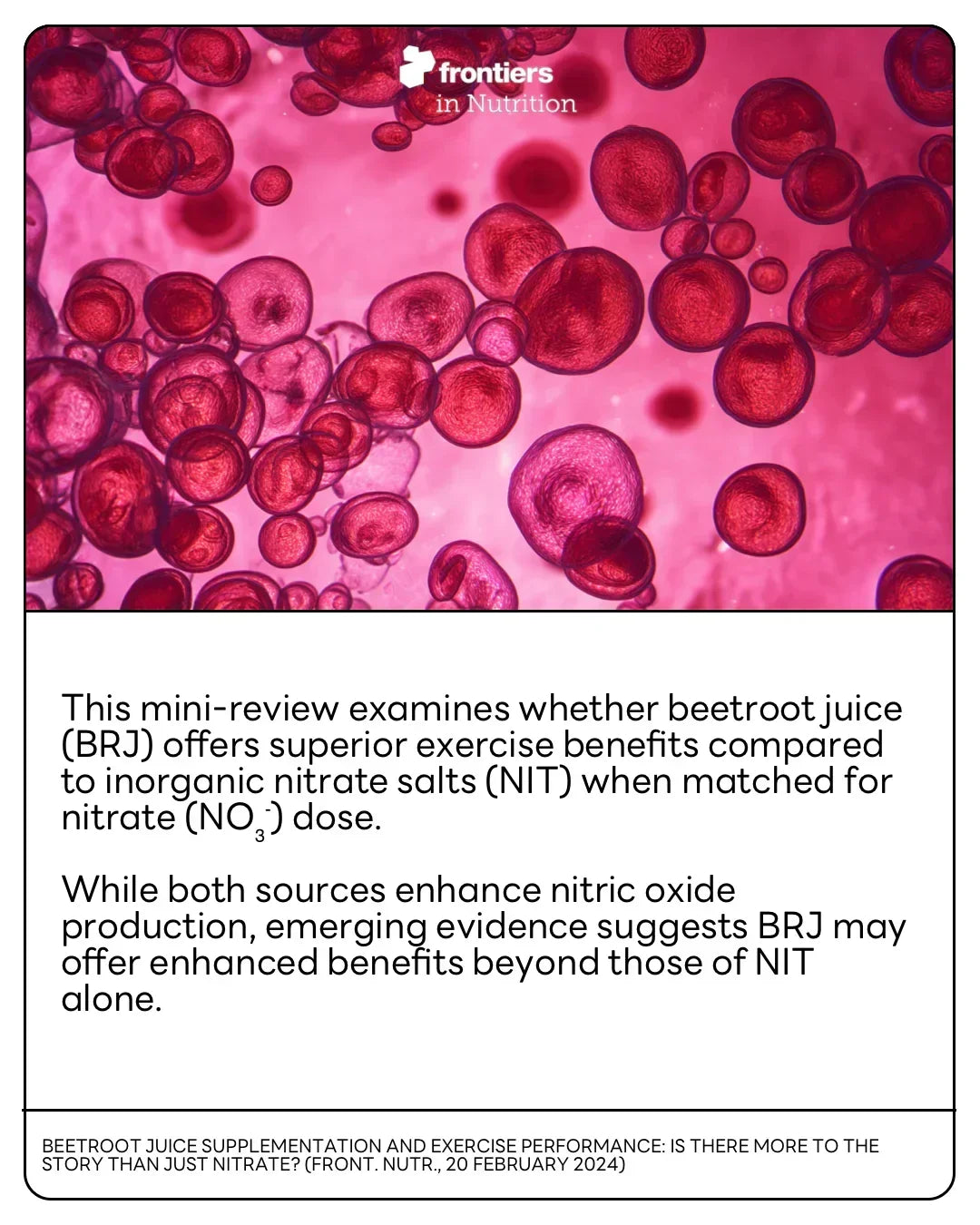 Close-up of red beetroot powder molecules, highlighting stamox beetroot powder health benefits.