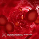 Close-up of red blood cells with stamox beetroot powder boosting oxygen and blood flow