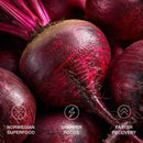 Close-up of fresh beetroots highlighting stamox beetroot powder benefits for sharper focus and faster recovery