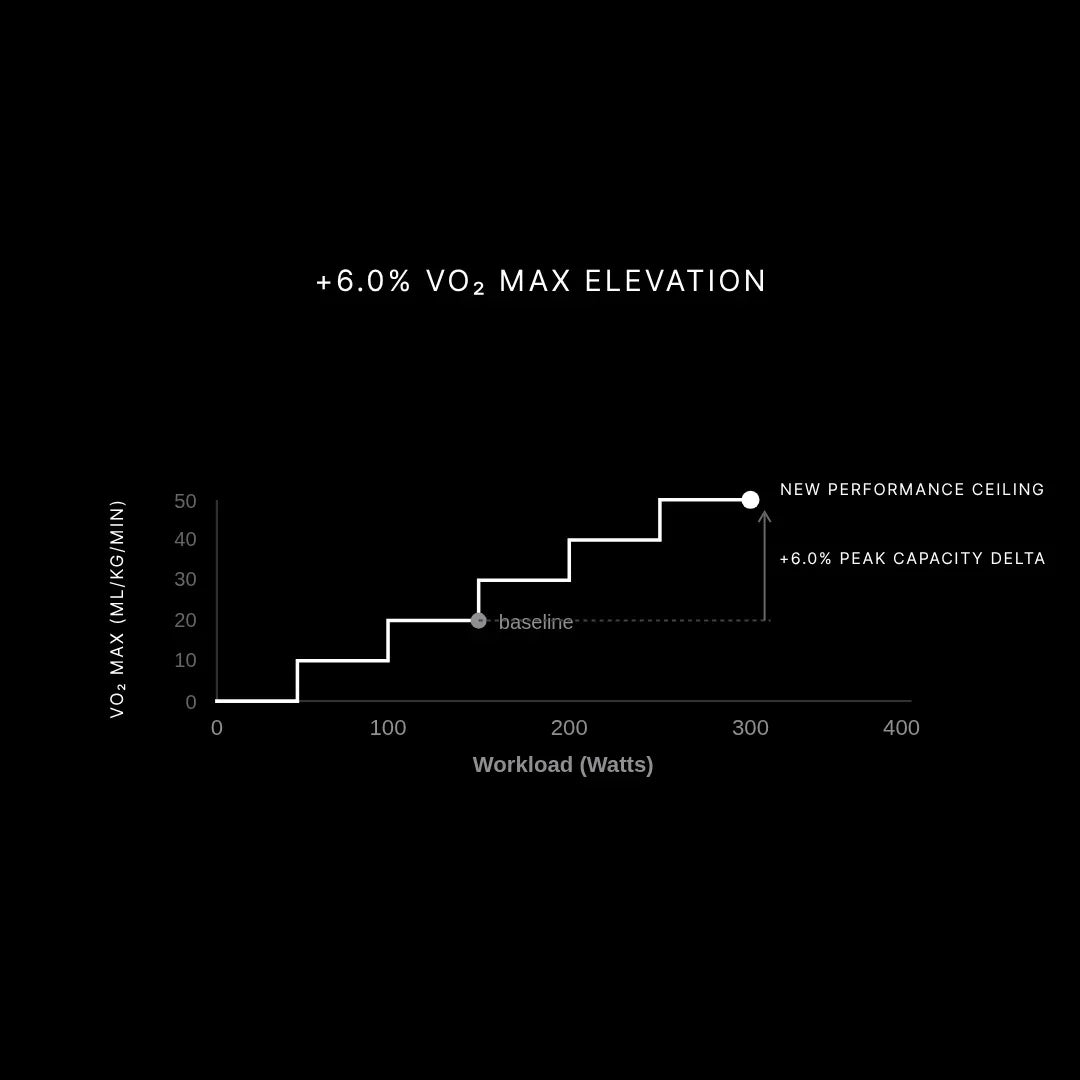 Stamox beetroot powder boosts VO2 max by 6.0% for enhanced endurance and peak performance, clinically backed for athletes.