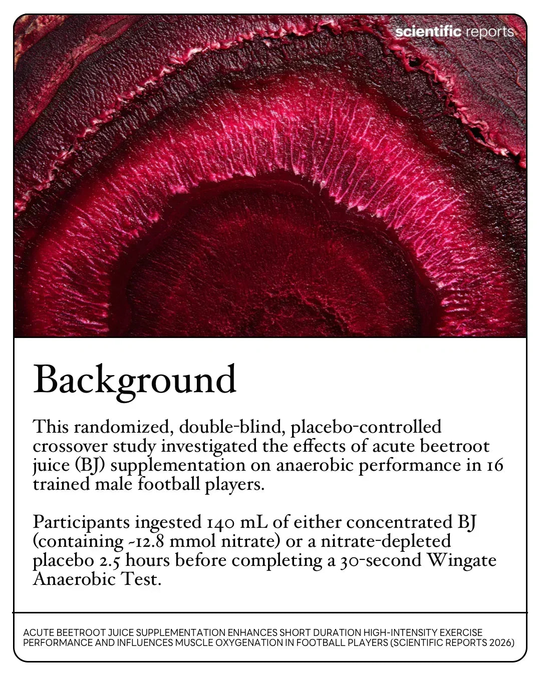 Close-up beetroot slice background with study summary, promoting stamox beetroot powder benefits.